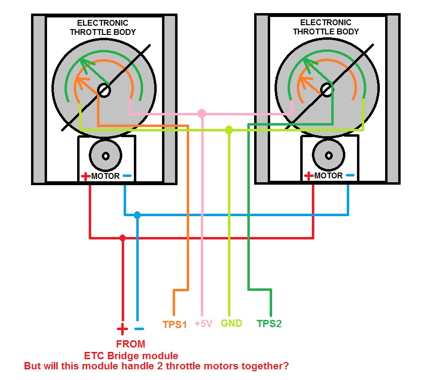 throttle%20bodies%20wiring.jpg