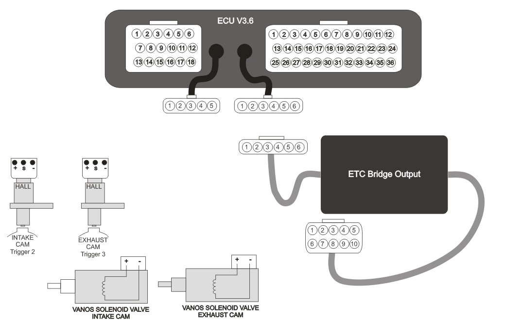 Vanos%20wiring%20diagram.jpg